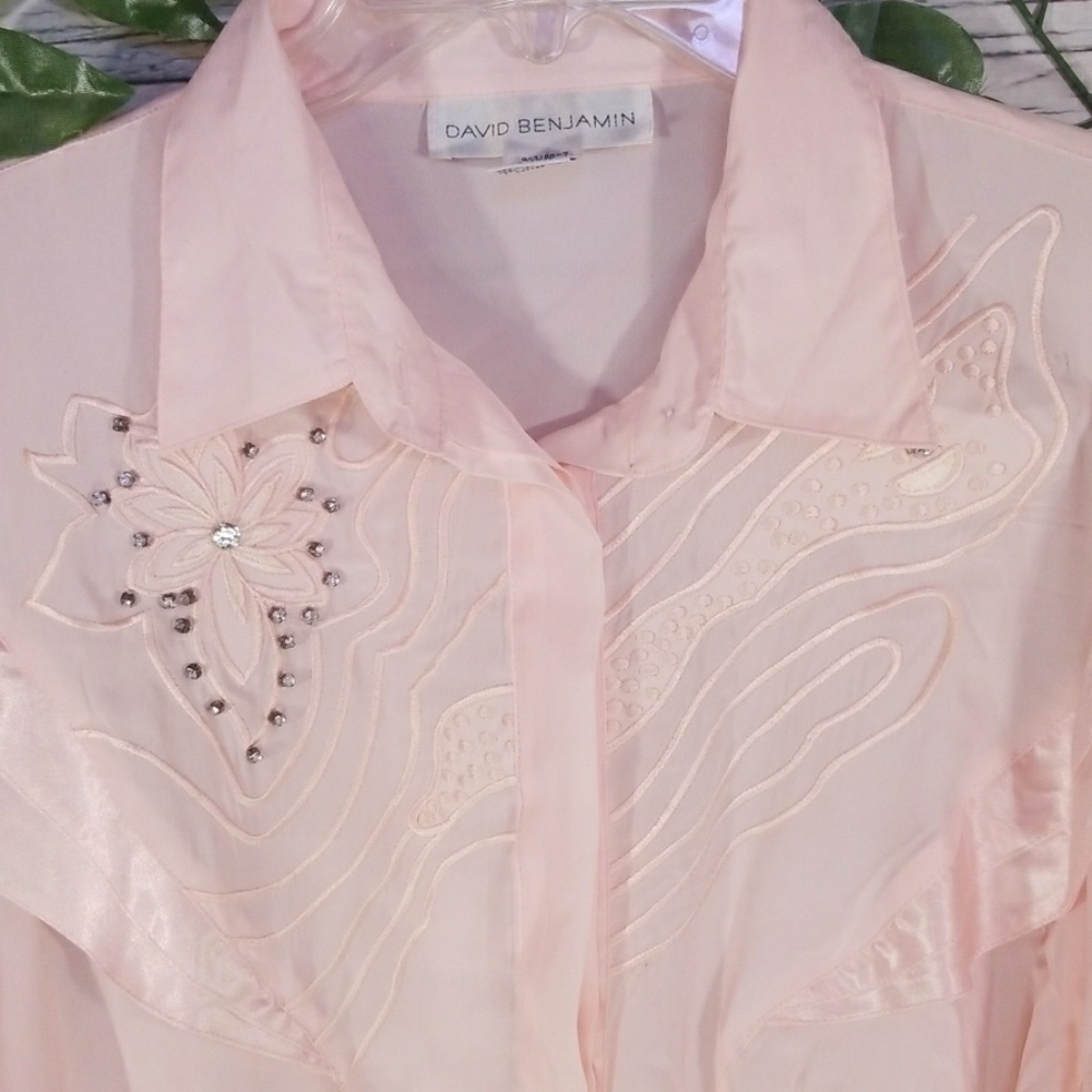 David Benjamin buttondown embellished flare blouse